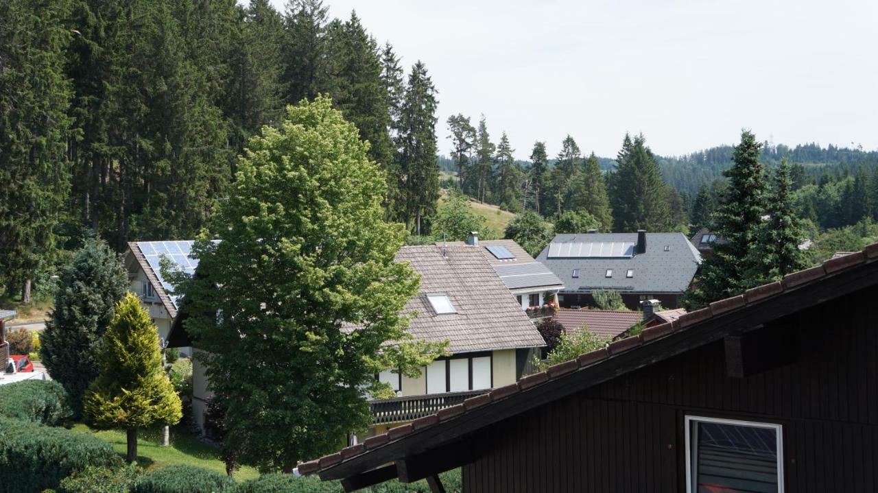 Waldblick