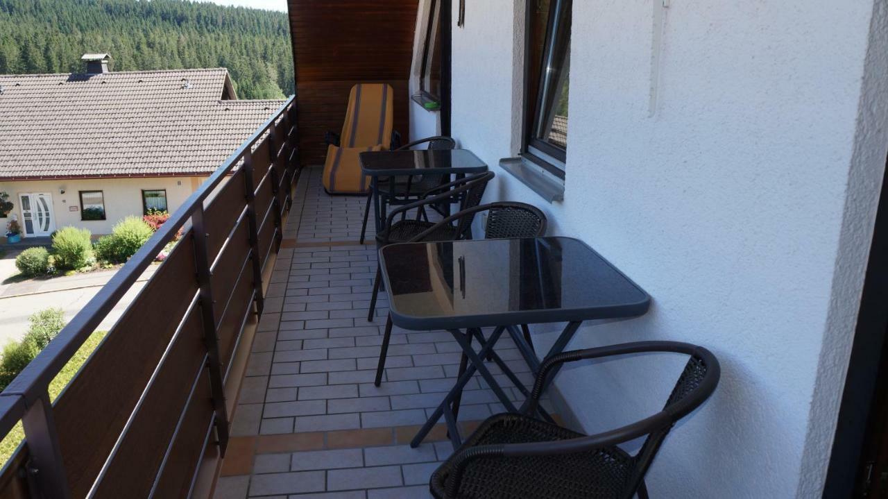 Waldblick Schluchsee