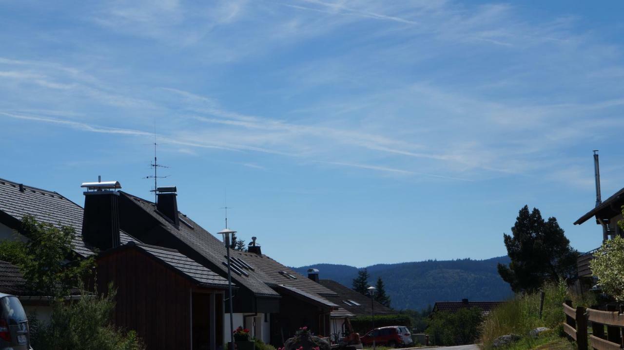 Waldblick Schluchsee